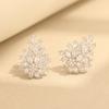 Temperament Premium Snowflake Zircon Earrings Silver Exquisite Ear Clips Women's Versatile Earrings Birthday Party