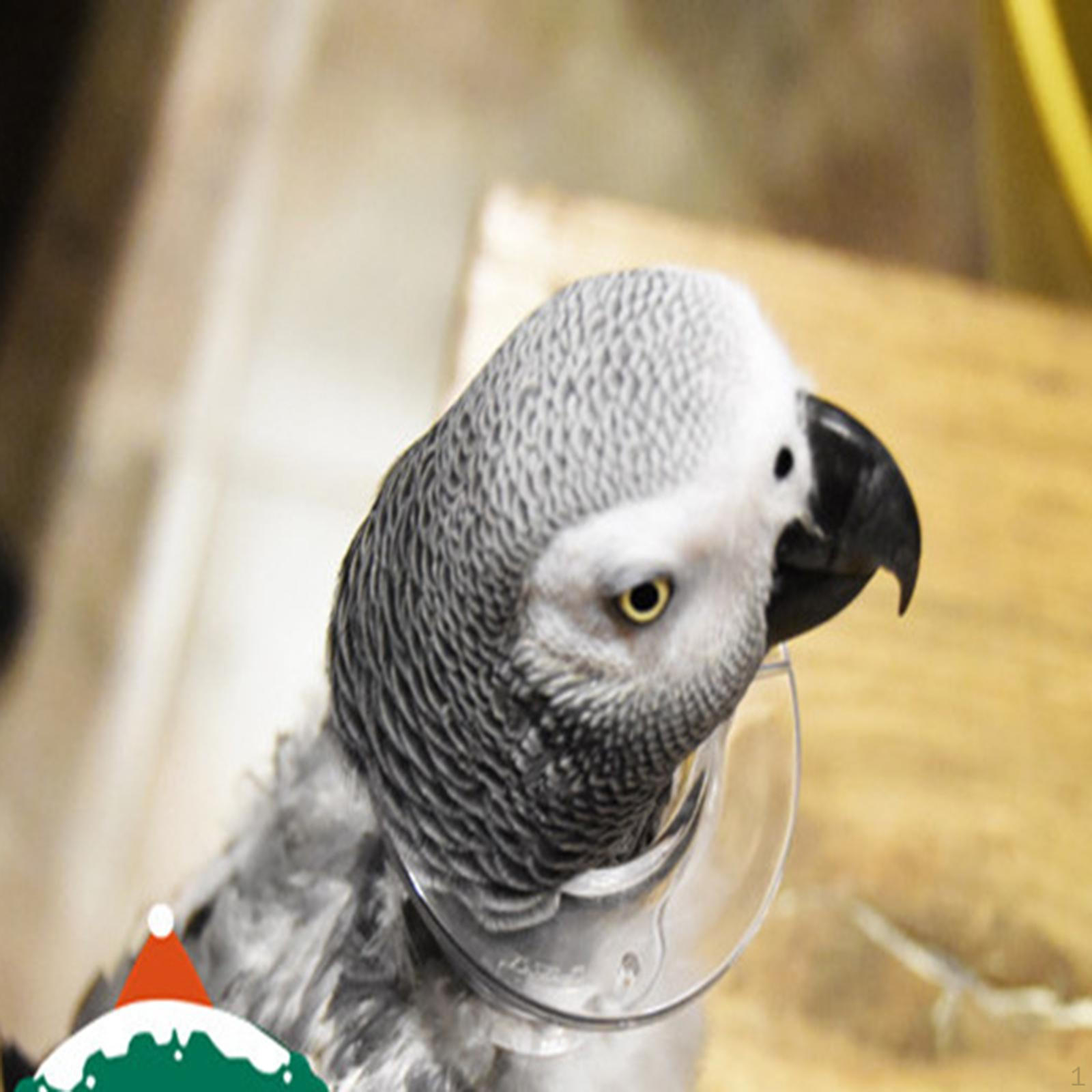 Bird Parrot Protection Bead, Anti-Grab Feather, for Wound , Safety, Practical Neck Cover, Protective