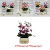 Butterfly Orchid Artificial Plant For Photography Decor And Home Styling