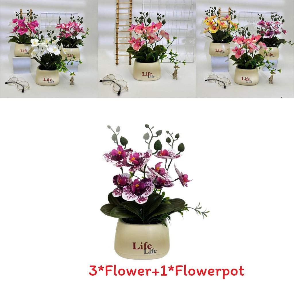 Butterfly Orchid Artificial Plant For Photography Decor And Home Styling