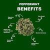 NeutraVed Peppermint Leaves 70g | Loose Mint for Mint Tea | Organic Tea In Zipper Pack - 70 Gram