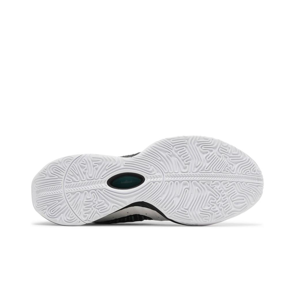 Nike LeBron 21 'Conchiolin' (Unisex) White / Black / Bicoastal / Photon Dust Basketball Shoes HF5841 100