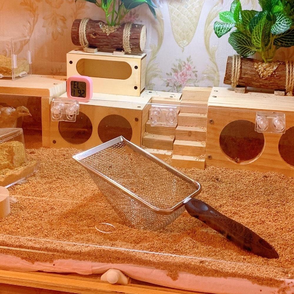 Falltail Stainless Steel Reptile Sand Substrate Scoop Shovel Sifter Fine Mesh Metal Reptile Litter Cleaner Scooper For Sand Bedding