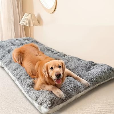 Cães – Casotas, tocas, currais