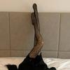 Tights Leopard Print Sexy Women'S Printed Tight Design Black Hollow Stockings Fishnet Special Fashion Pantyhose Stocking