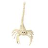 Halloween Decoration Mini Skeleton Bone Statues Poseable Rat Dog Spider Cat Owl Skeleton Figurine for Haunted House Party Decor