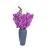 Gladiolus Blooms for Decor