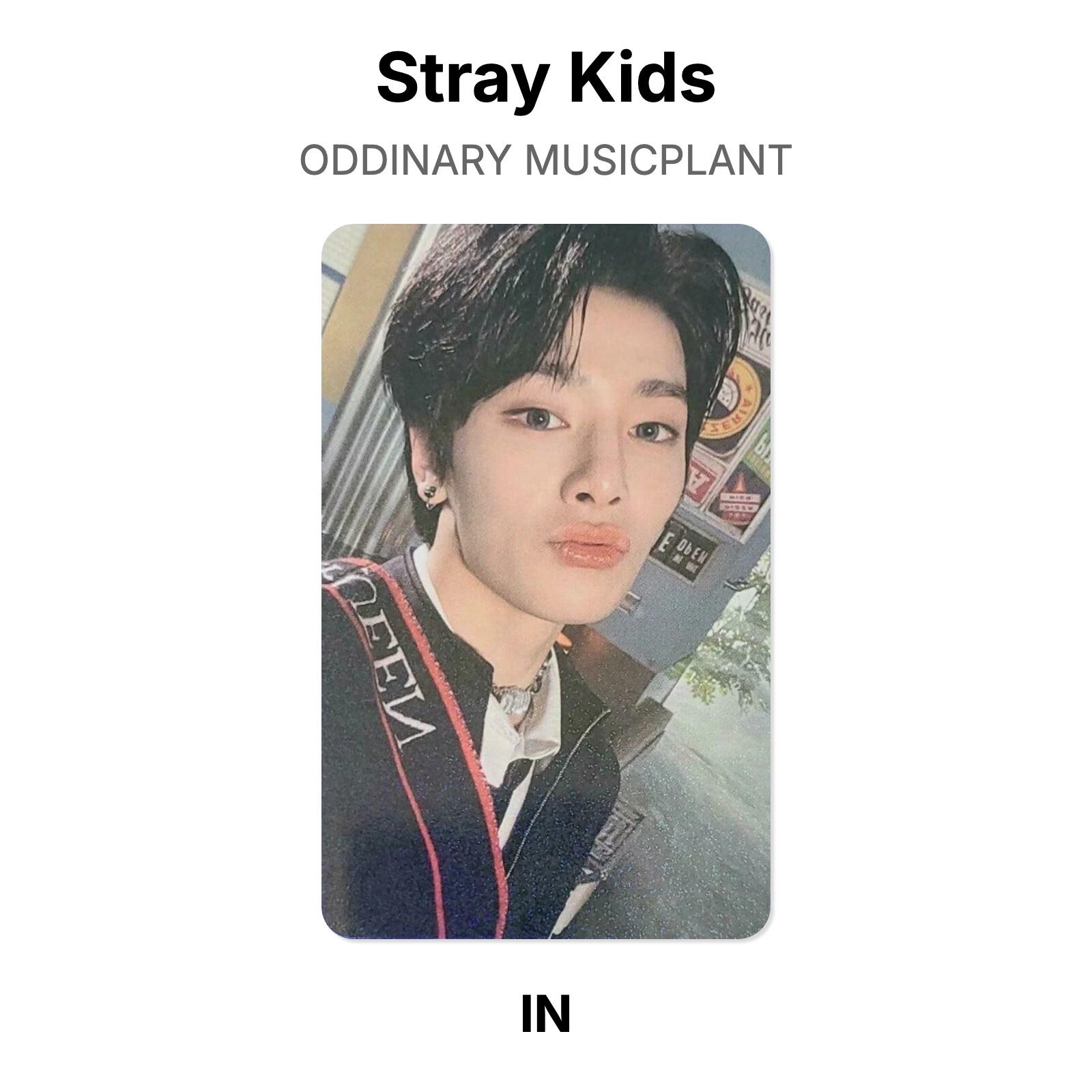 Stray Kids ODDINARY MUSICPLANT Официальная фотокарточка I.N