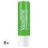 Vaseline Lip Therapy Stick Aloe Vera 4.8g 6 Pcs