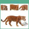 Schleich Simulierte Tierfigur PVC-Material Statisches Modell Wildtiere Kategorie Kein Zusammenbau Leopard 14748