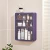 Wandmontierter, bohrfreier, staubdichter Badezimmer-Hautpflege-Organizer