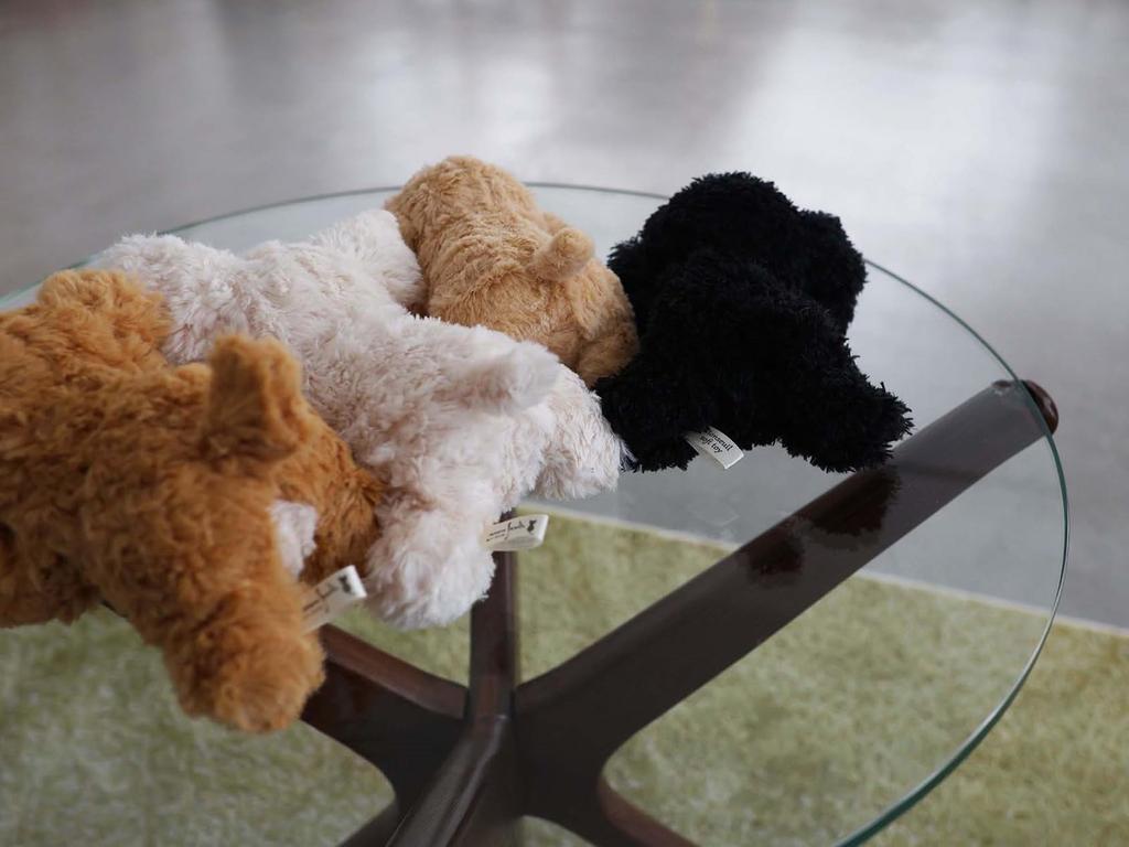 Monseuil Paps Toy Poodle Black 10729