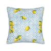 Lemon and Blue Pattern Pillow Case  Soft Pillow Cover For Sofa Car Home Decor Novelty Cushion Cover