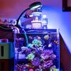 Aquarium Light Lamps 12W with Adjustable Hose- Aquarium Lighting Marine Fish