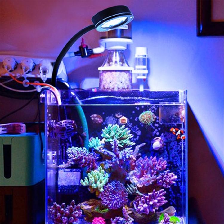 Aquarium Light Lamps 12W with Adjustable Hose- Aquarium Lighting Marine Fish