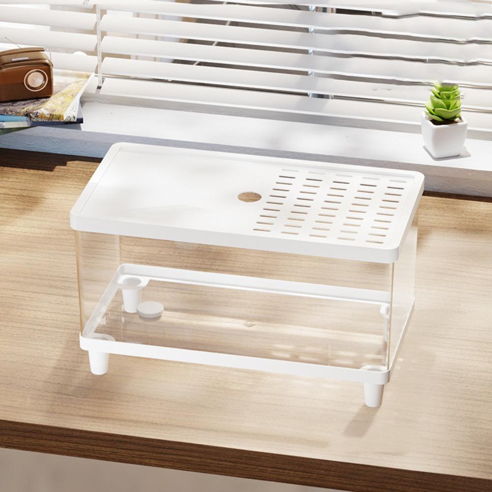 Transparent Lizard Breeding Box Breathable Insect Observation Box Reptile Terrarium  Amphibians