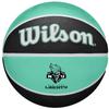 Wilson WNBA Team Tribute New York Liberty Ball, Unisex Black Basketball