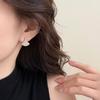 Chic Luxury Zirconia Fan-Shaped Stud Earrings – Versatile, High-End Commuting Ear Jewelry