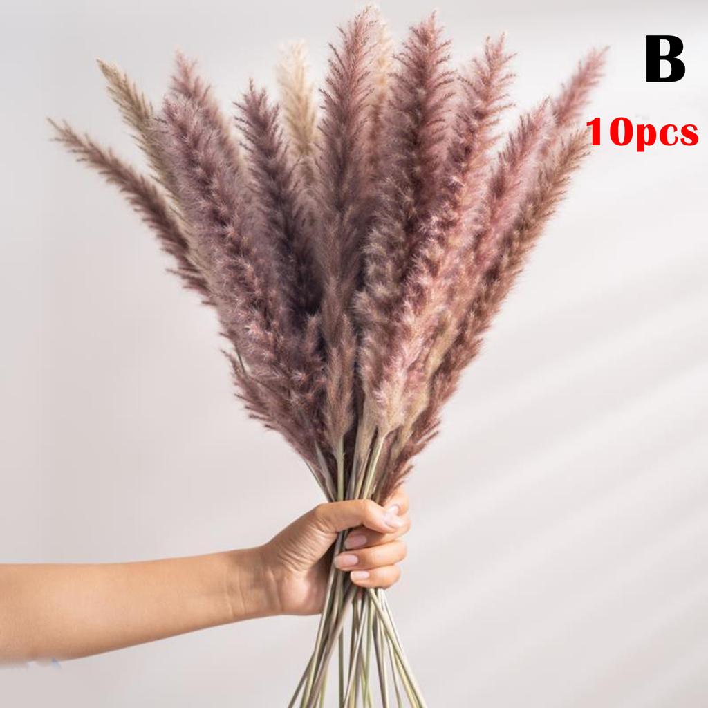 Reed Flower Bouquet Natural Dried Flowers for Home Decoration 55x10cm