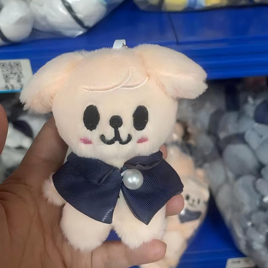 10cm Kpop Cartoon Stuffed Animal Plushies Stay Plush Doll Toys Kawaii Adults Fans Keychain Pendant Kid Gift Cuddly Fluffy Huggable Comfort Adorable