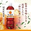 Asahi Beverages Japanese Black Tea Unsweetened Iced Tea 500ml X 24 Bottles