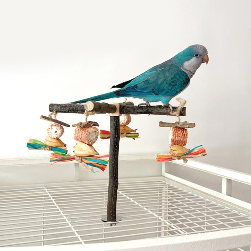 Bird Perch Nature Molar Stand for Parrots Conure Supplies Budgies Grinding Scratchers for Small Medium Parrots Toy