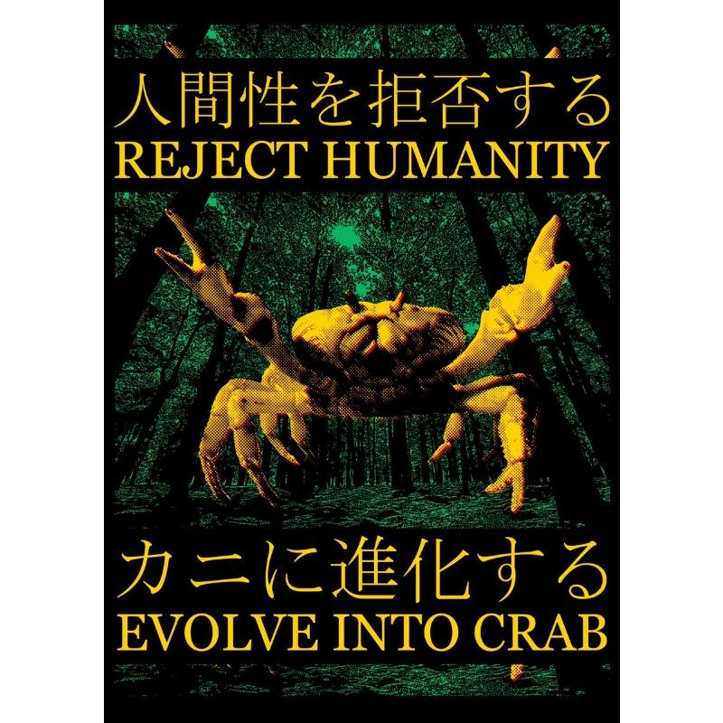 Vintage Japanese Animals Posters Rats Frog Raccoon Prints Canvas Printing Wall Art Picture for Living Room Home Decor Gifts