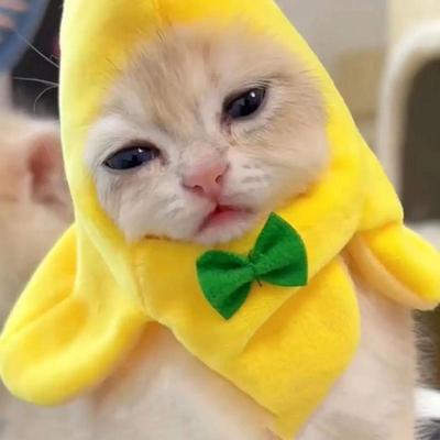 Cat Costume Banana Hat Adorable Pet Headwear Hood Cat Caps Funny Cosplay Prop Halloween Apparel For Small Dogs Kitten Cats