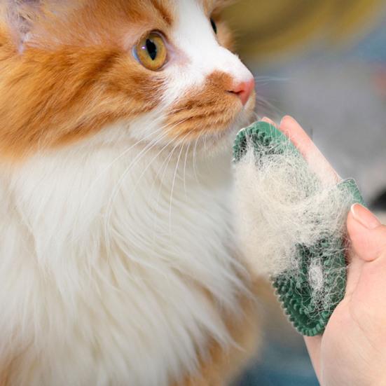 Pet Wash Brush Ergonomic Design Long-term Use Hair Removal Gentle Silicone Bristles Cat Massage Comb for Pet