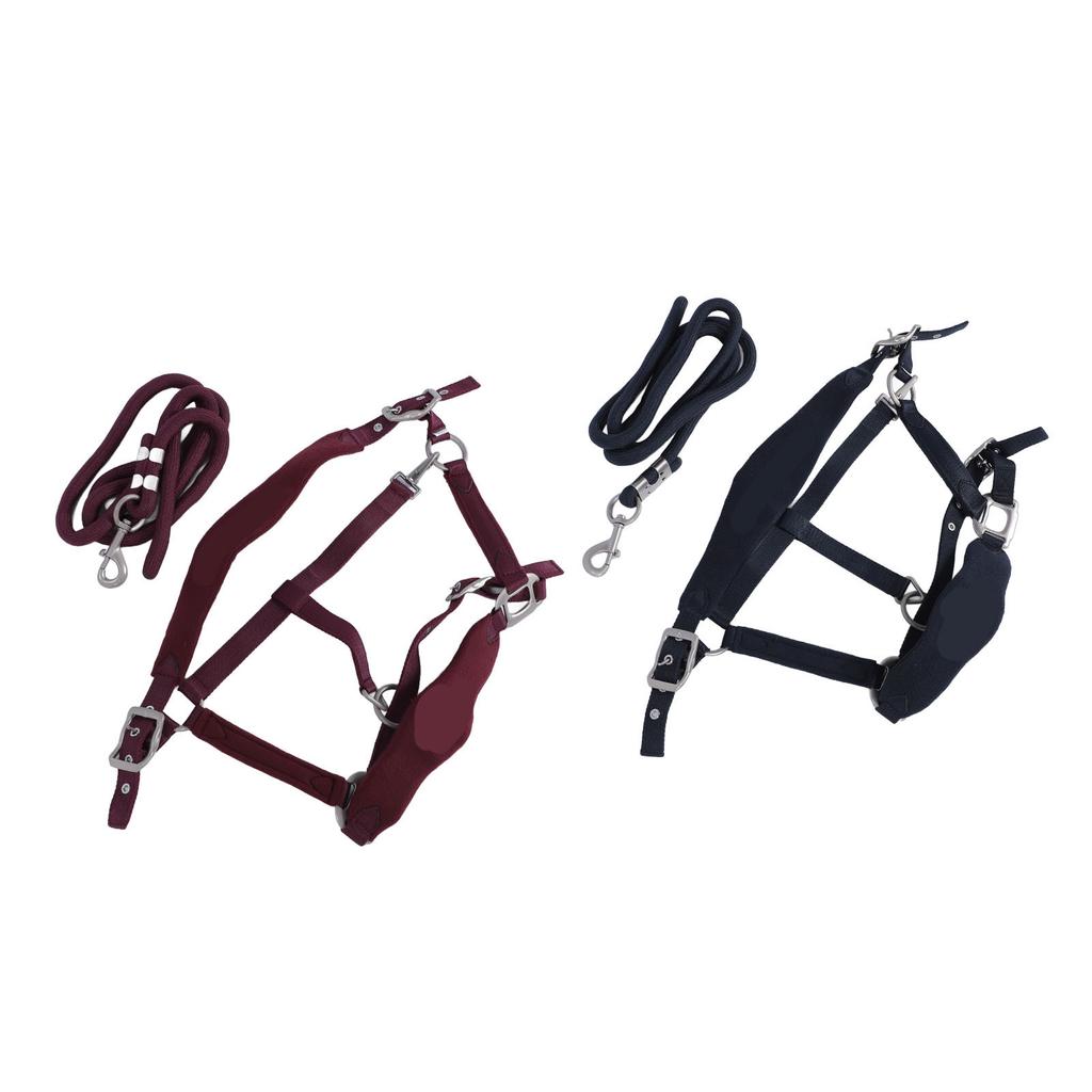 Horse Halter Set Prevent Rubbing Adjustable Horse Training Halter with 2m Horse Leash for Training D