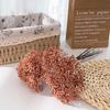 6 Bundles Artificial Aglaia Odorata Branch Realistic Fake Fruits Berries Stem for Home Office Indoor Flower Arrangement Wedding Party Centerpiece