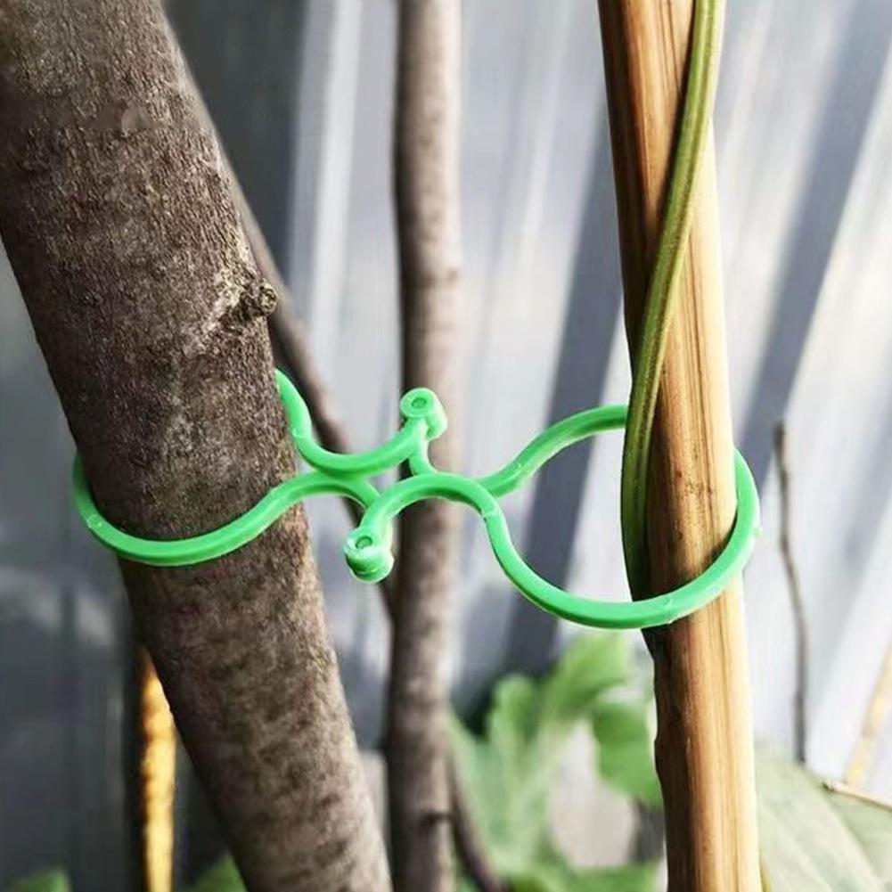 50/100/200Pcs Small Plant Clips Reusable Gourd Buckle Clips Multifunctional Plant Holder Trellis Clips for Securing Plantings