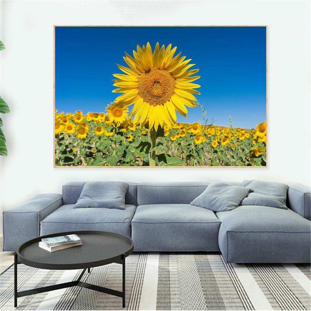 Nordisches Blumenfeld, Sonnenblumen-Leinwandgemälde, Wandkunst, Landschaftsplakate und Drucke, Bilder für Wohnzimmer, Wohnkultur, kein Rahmen