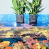 Ganci Porta Piante Acquatiche Sospese Galleggianti Vaso per Piante Acquatiche Coppette per Piante da Acquario Cestini per Piante Decorazioni Aquascape