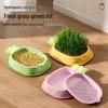 Pineapple Cat Grass Box: Hydroponic Hairball Remedy & Digestion Aid