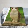 Lustige Meowl Katze Eule Internet Meme Decke Samtmaterial Multifunktional Für Wohnzimmer Schlafzimmer Sofa Deko Gemütlich