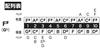 Tombo 10 Holes Harmonica Key Major Boy 1710 F#