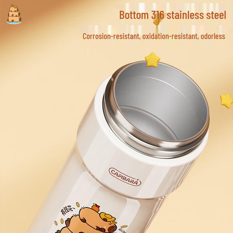 Fuquan 490mL Insulated Water Bottle with Hidden Handle