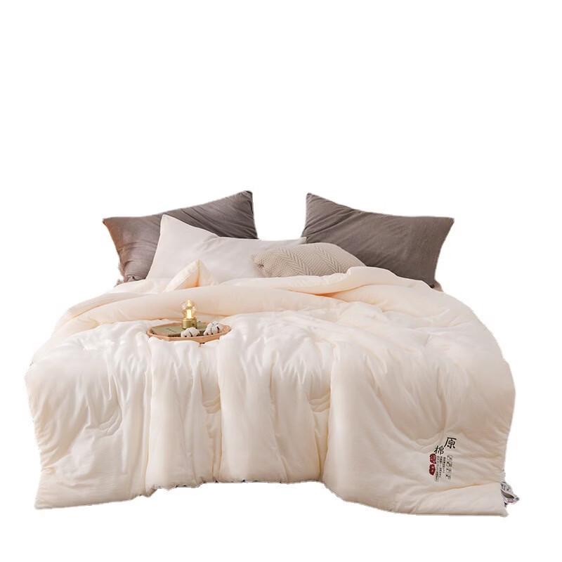 Brangdy Soybean Fiber Quilt