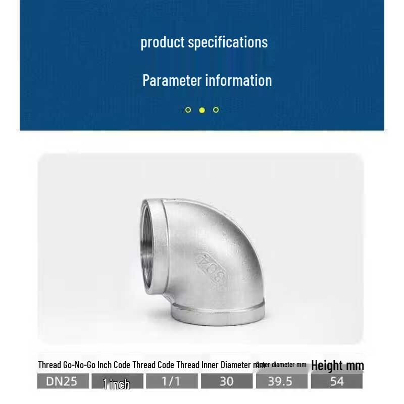 Woerman 304 Stainless Steel Swimming Pool Female Threaded Elbow