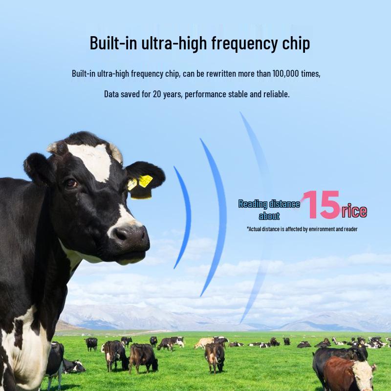 RFID Animal Ear Tags: Ultra-High/Low Frequency Tags for Pigs, Cattle, and Sheep - Effective Livestock Management Solutions