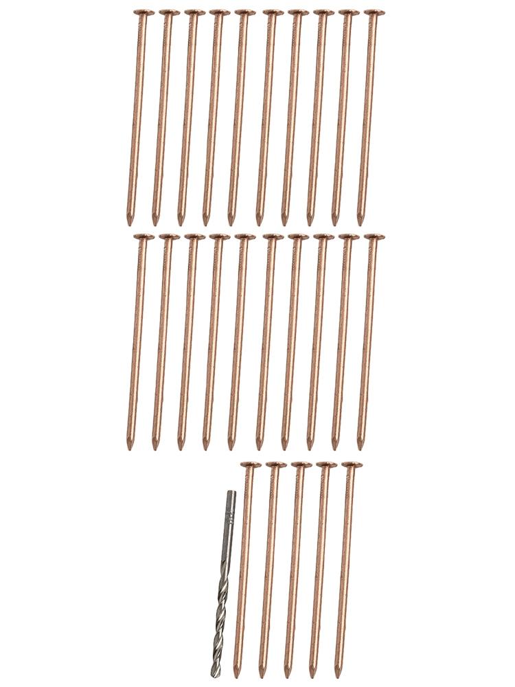Effective Copper Nail Spikes 4 Inch Length for Tree and Stump Root Management