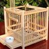 Exquisite Large Bamboo Grasshopper Cage with Free Accessories and Shipping, Damage Included