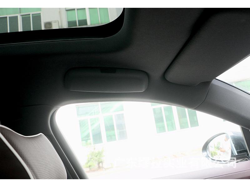 Porsche Panamera Glasses Case