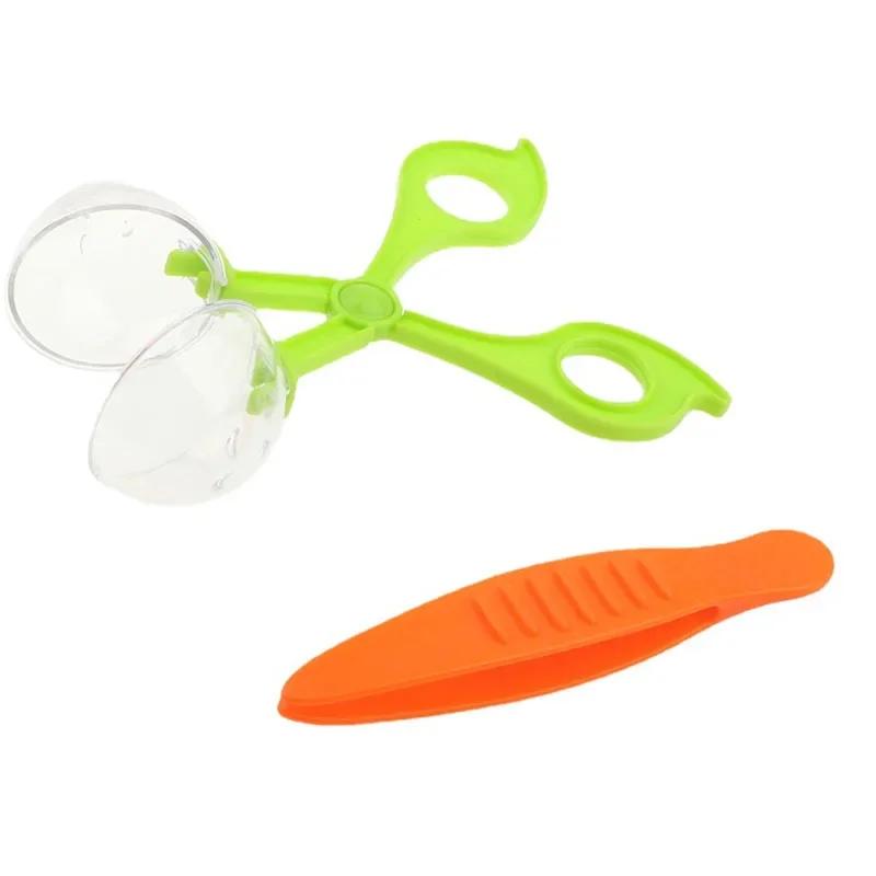 Wooden Clip Beads Games Montessori Toys Color Matching Parish Learning Set Fine Movement Training Educational Toys For Children