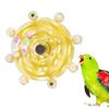 Xuanfeng Design Parrot Interactive Toy Rattle Birds Cage Feeder Funny Sounding Ball Toys  Parrot