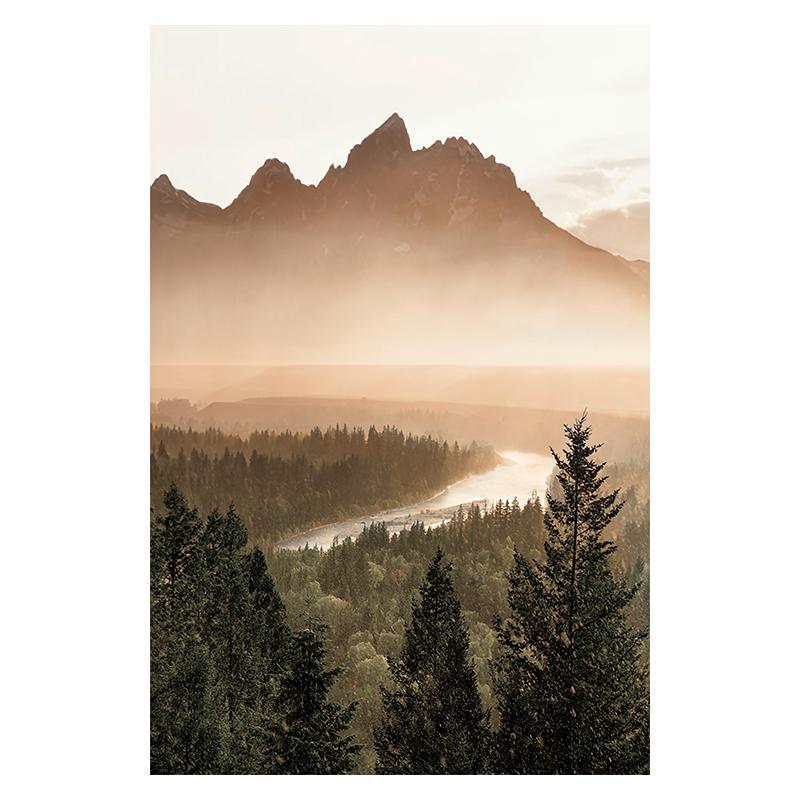 

Зеленые ботанические листья, скандинавский дом, цветок, холст, постер, пейзажный принт, картина, настенная живопись, растение, картина для гостиной, спальни 21x30cm No Framed