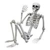 Szkielet człowieka model kościotrup halloween 170cm kostium dekoracje