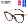 Tr90 Anti-Blue Cat Eye Retro Glasses Frame 2021 Personalized Flat Glasses Metal Trend Glasses Frame