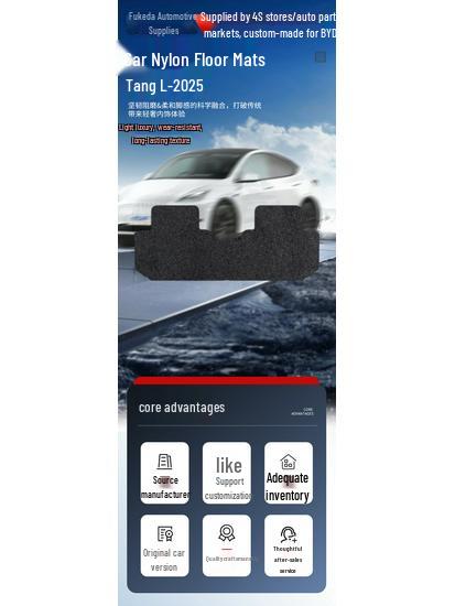Black Nylon Velour Floor Mats for BYD Tang L-25 Model